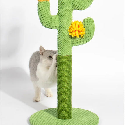 Griffoir chat cactus 