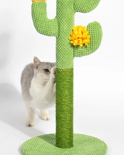 Griffoir chat cactus 
