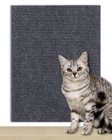 Griffoir Chat canape gris