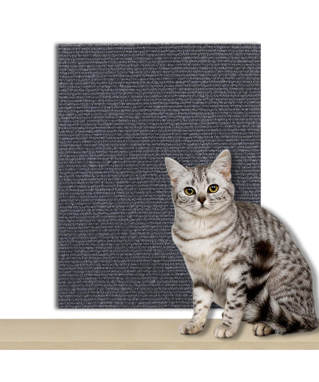 Griffoir Chat canape gris