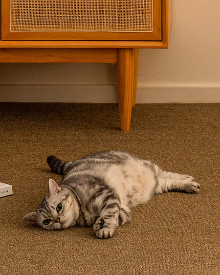 Tapis griffoir sisal pour chat