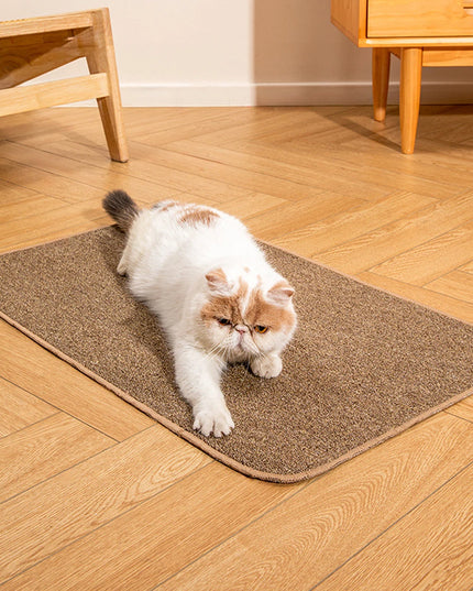 Griffoir chat tapis 