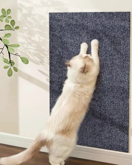 Griffoir Chat canape gris