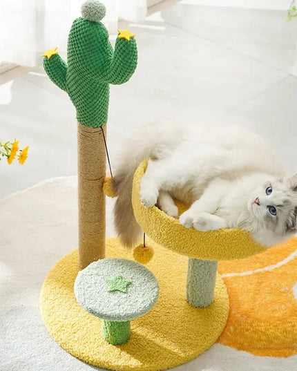 Cactus griffoir chat Jaune