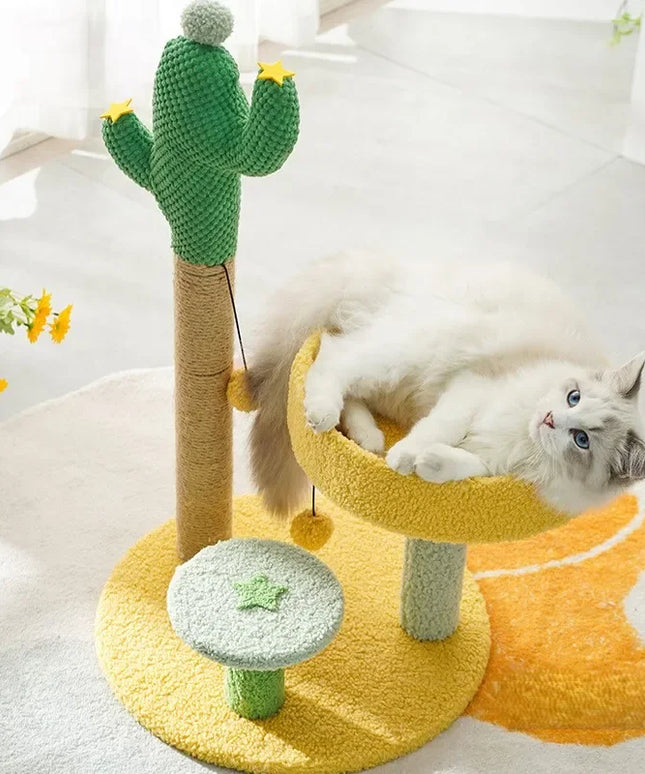 Cactus griffoir chat Jaune