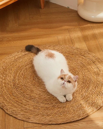 Tapis Griffoir Chat Rond