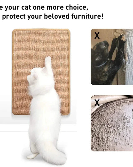 Griffoir mural canapé chat