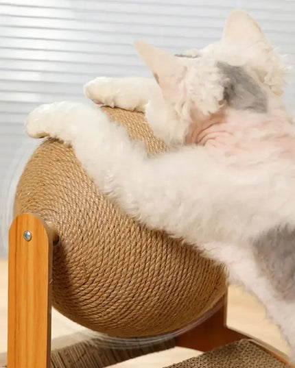 Griffoir chat boule deux en un