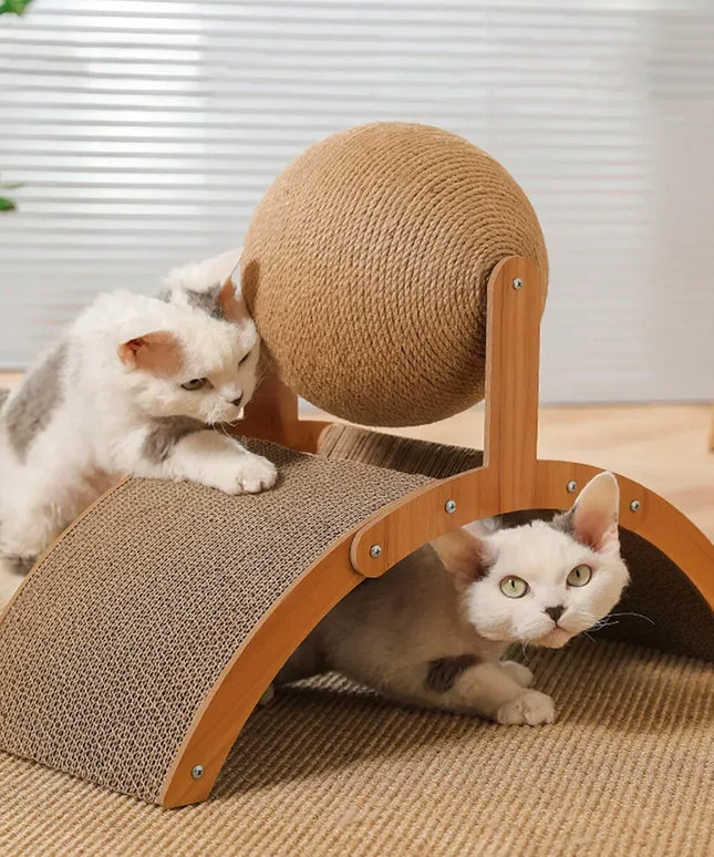 Griffoir chat boule deux en un