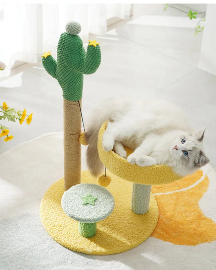 Cactus griffoir chat Jaune