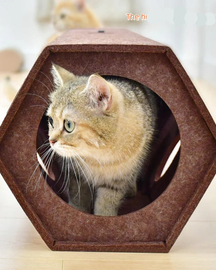 Griffoir Chat moderne Tunnel