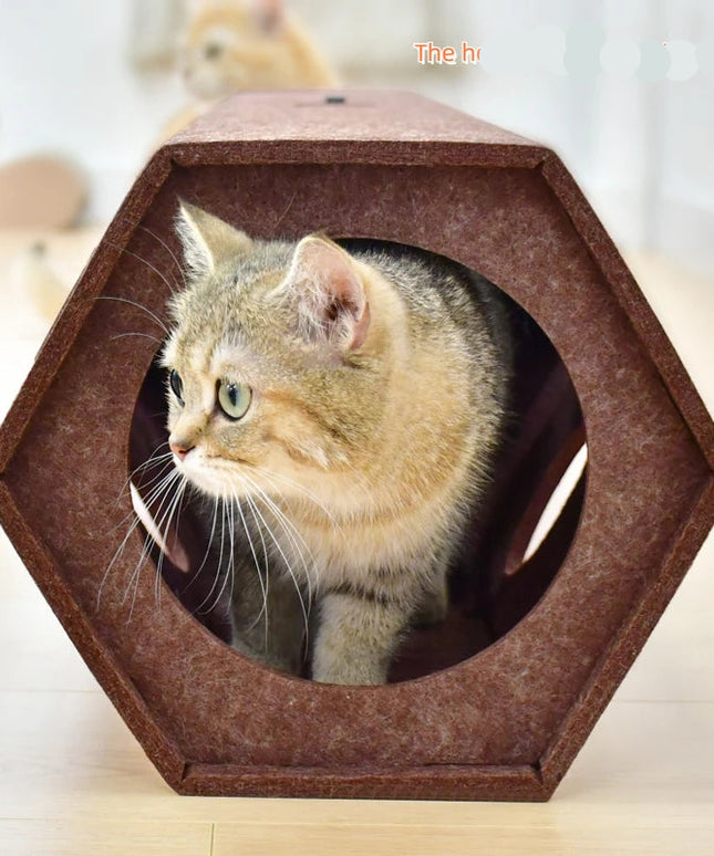 Griffoir Chat moderne Tunnel