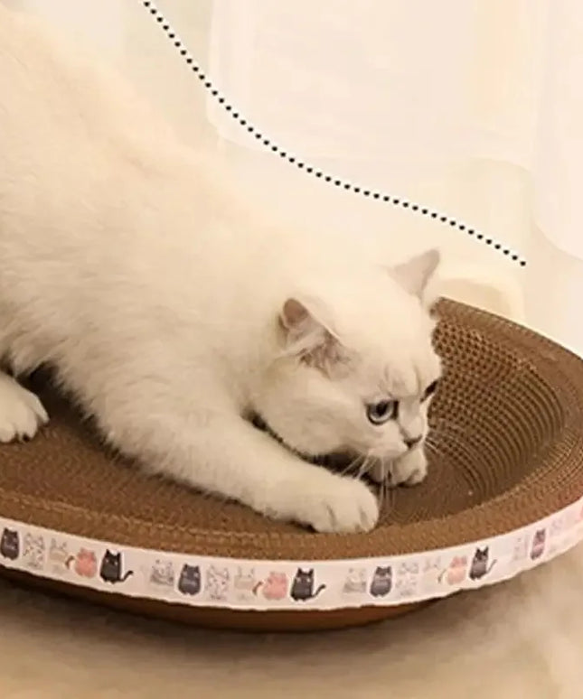 Griffoir Chat En Carton Ondulé