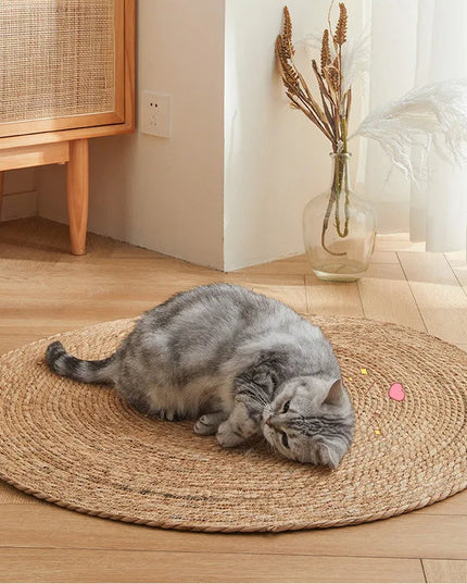 Tapis Griffoir Chat Rond