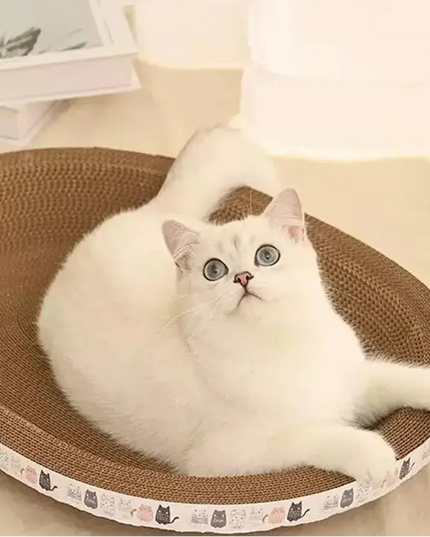 Griffoir Chat En Carton Ondulé