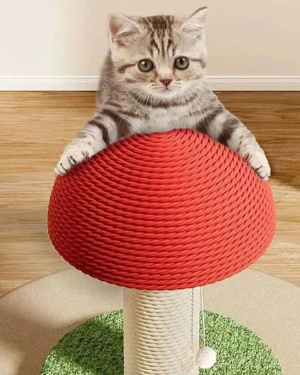 Griffoir chat champignon en sisal