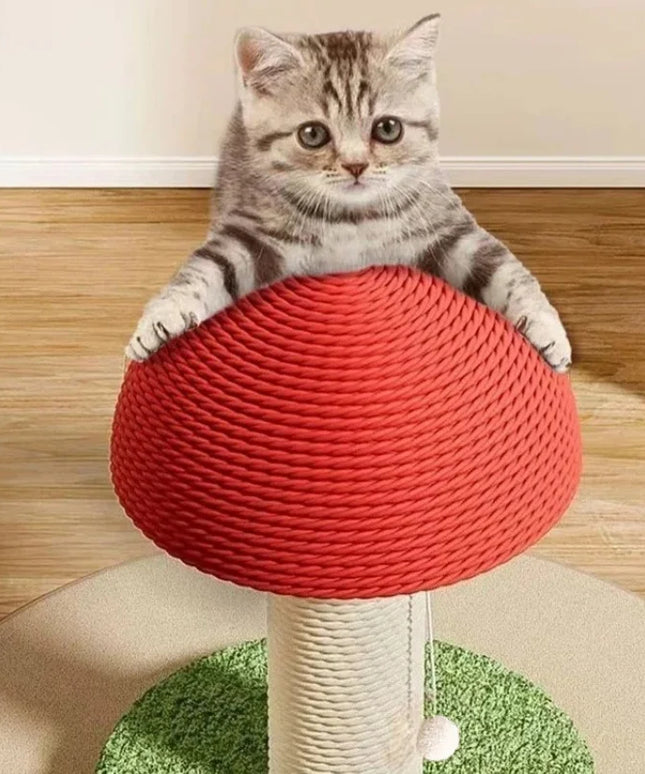 Griffoir chat champignon en sisal