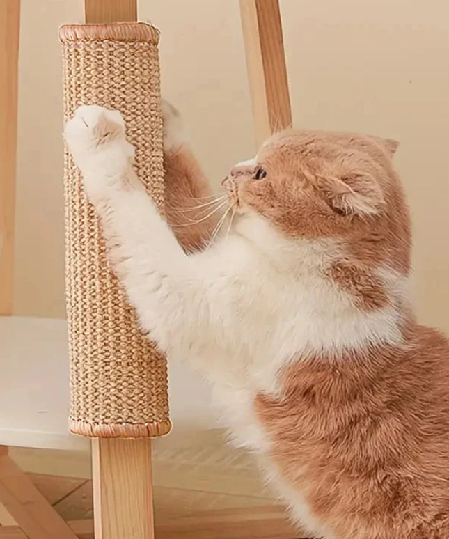 Griffoir mural canapé chat