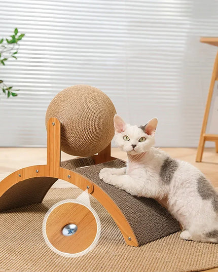 Griffoir chat boule deux en un