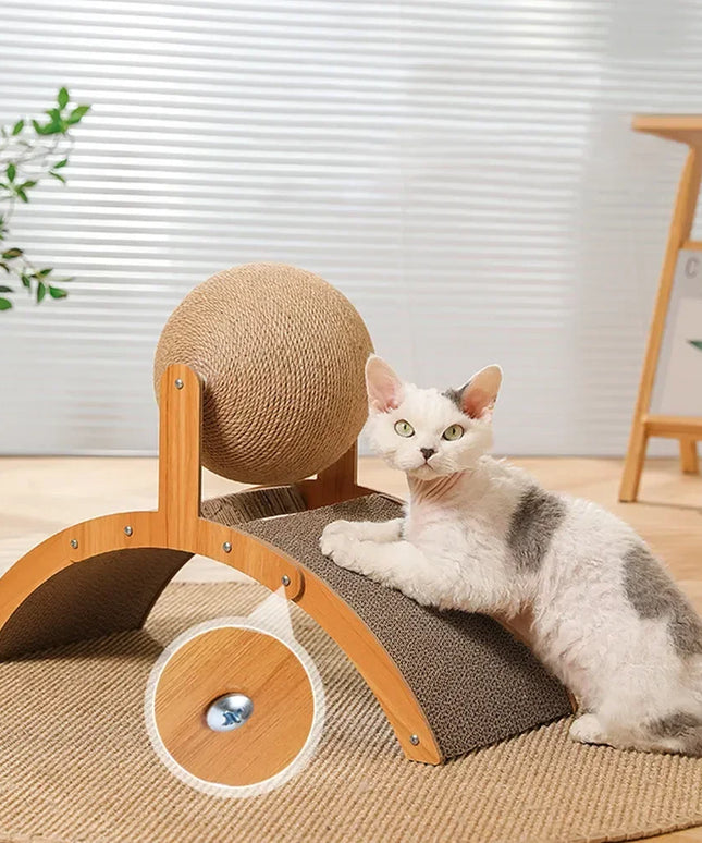 Griffoir chat boule deux en un