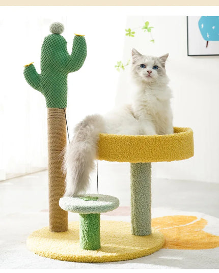 Cactus griffoir chat Jaune