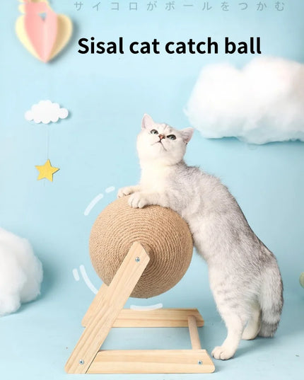 Boule Griffoir Chat 2 Modèles