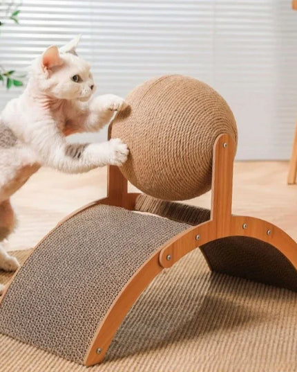 Griffoir chat boule deux en un