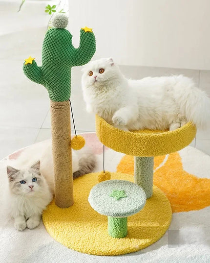 Cactus griffoir chat Jaune