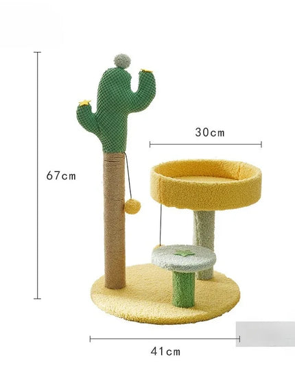 Cactus griffoir chat Jaune
