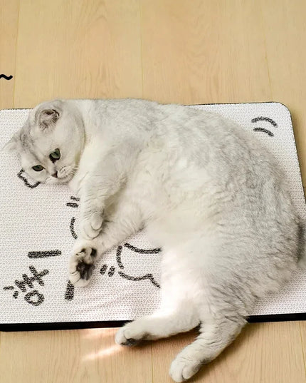 Griffoir Chat Mural MOUTON