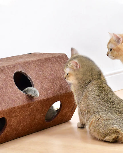 Griffoir Chat moderne Tunnel