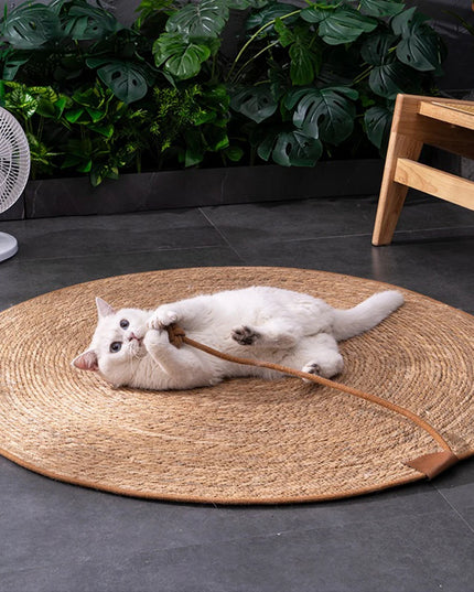 Tapis griffoir chat 
