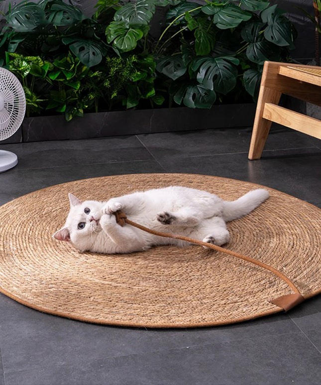 Tapis griffoir chat 