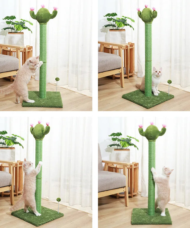 griffoir chat cactus 