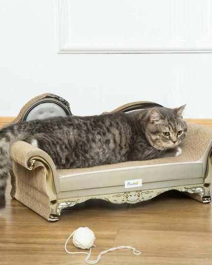 chat sur canape griffoir