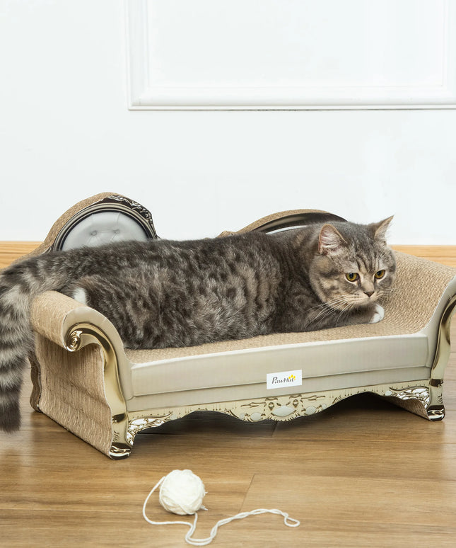 chat sur canape griffoir