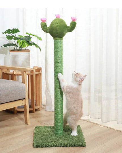 griffoir chat cactus 