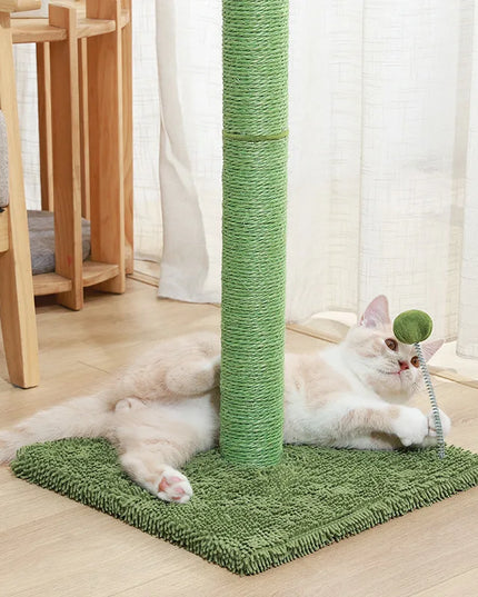 griffoir chat cactus 
