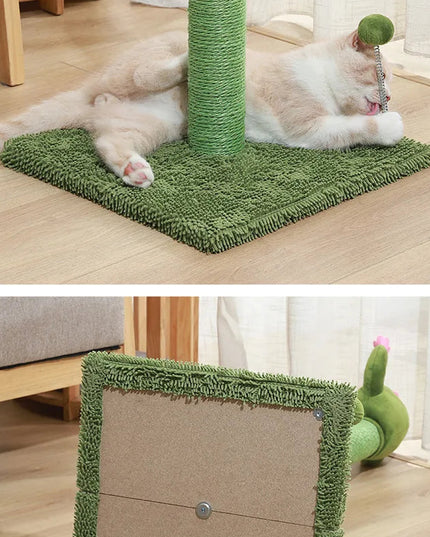 griffoir chat cactus 