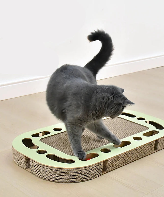 griffoir-chat-tapis-jeu