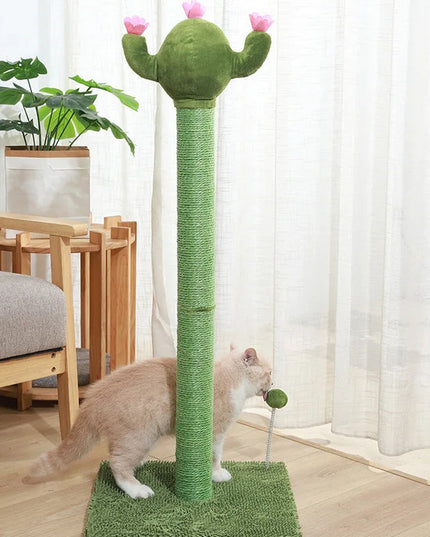 griffoir chat cactus 