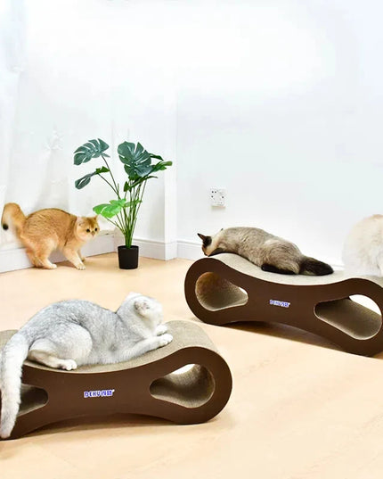 Des chats dans une piece avec griffoirs