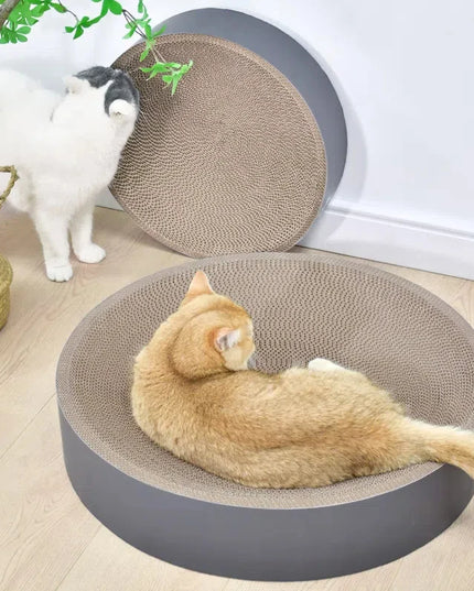 griffoir-lit-chat-moderne 