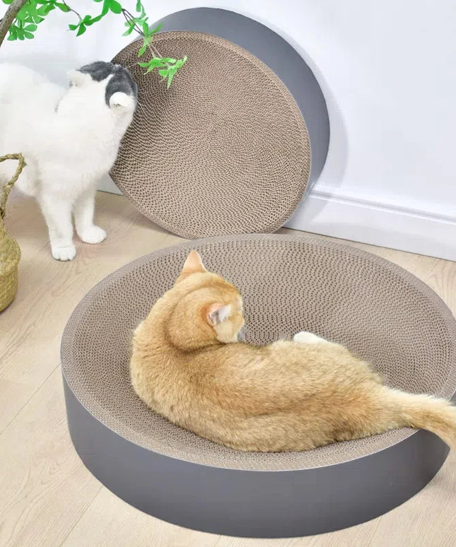 griffoir-lit-chat-moderne 