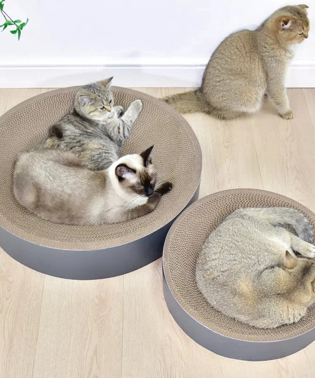 griffoir-lit-chat-moderne 