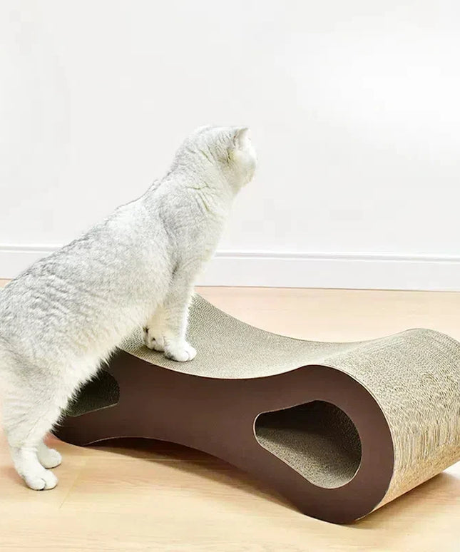 Chat blanc sur griffoir