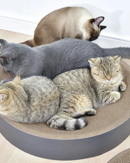 griffoir-lit-chat-moderne 