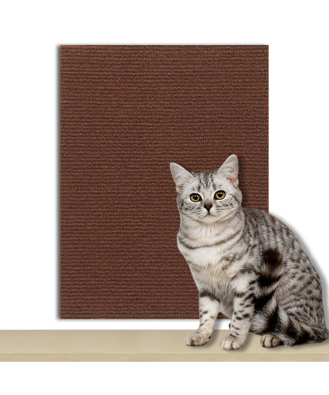 protection canape brun