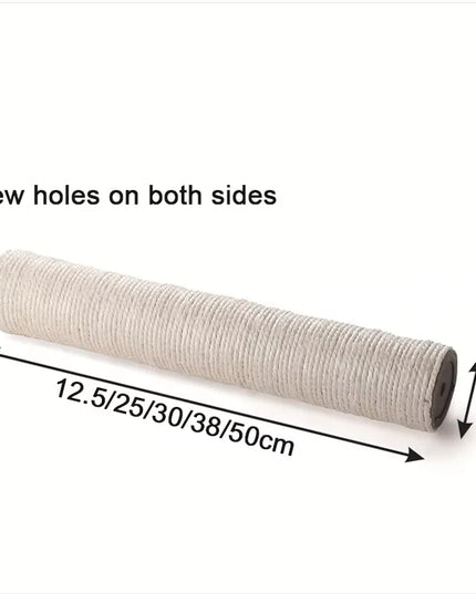 dimension griffoir chat 