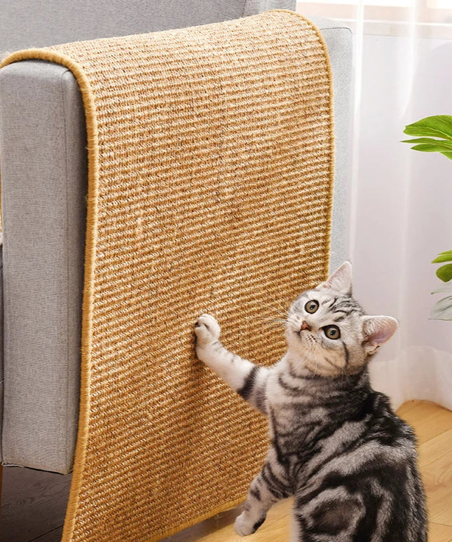 Tapis Griffoir chat 